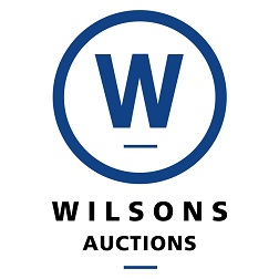 Wilsons Auctions Dublin logo