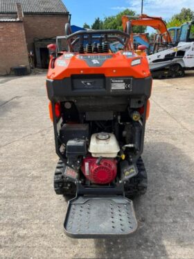 2021 Cormidi C55 Tracked Dumper for Sale full