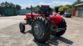 1962 MASSEY FERGUSON 65  For Auction on 2024-09-21 at 08:30 For Auction on 2024-09-21 full