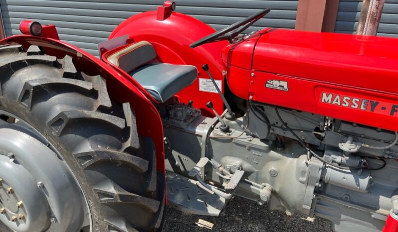 1962 MASSEY FERGUSON 65  For Auction on 2024-09-21 at 08:30 For Auction on 2024-09-21 full