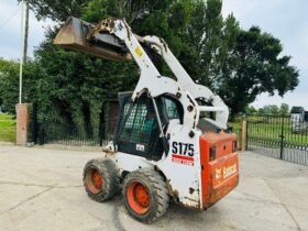 BOBCAT S175 HIGH LIFT SKIDSTEER *HIGH FLOW* C/W BUCKET *VIDEO* full