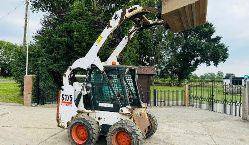 BOBCAT S175 HIGH LIFT SKIDSTEER *HIGH FLOW* C/W BUCKET *VIDEO* full