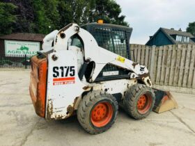 BOBCAT S175 HIGH LIFT SKIDSTEER *HIGH FLOW* C/W BUCKET *VIDEO* full