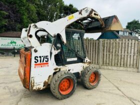 BOBCAT S175 HIGH LIFT SKIDSTEER *HIGH FLOW* C/W BUCKET *VIDEO* full