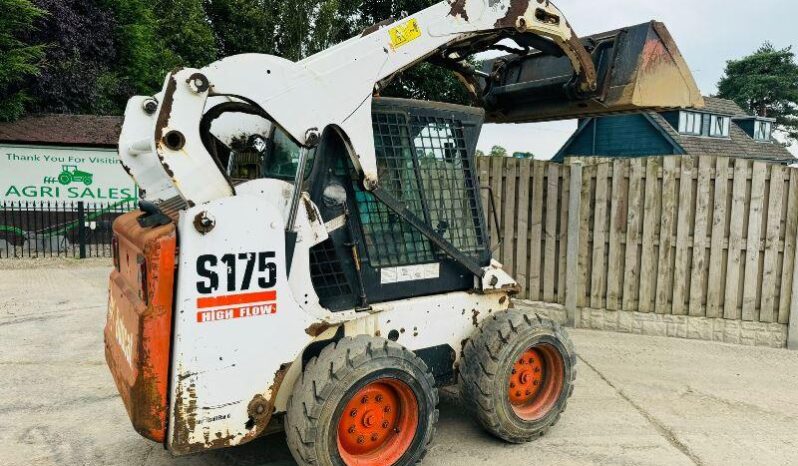 BOBCAT S175 HIGH LIFT SKIDSTEER *HIGH FLOW* C/W BUCKET *VIDEO* full