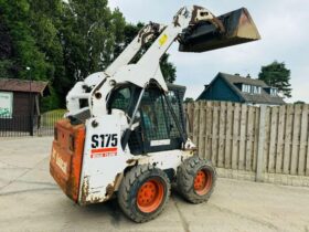 BOBCAT S175 HIGH LIFT SKIDSTEER *HIGH FLOW* C/W BUCKET *VIDEO* full