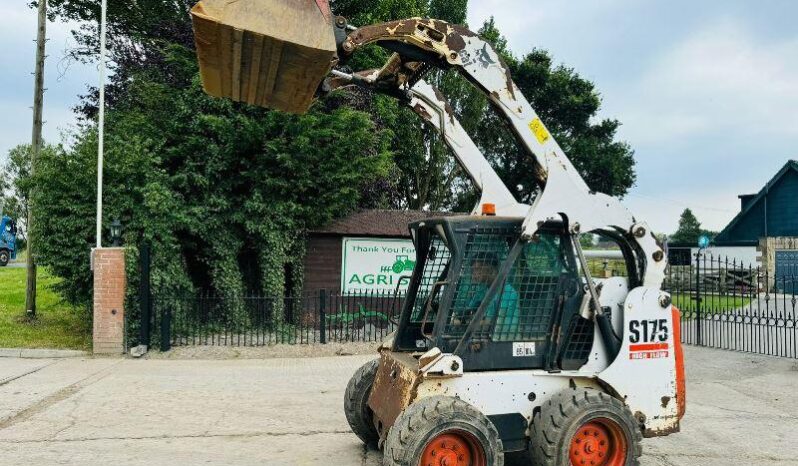 BOBCAT S175 HIGH LIFT SKIDSTEER *HIGH FLOW* C/W BUCKET *VIDEO* full