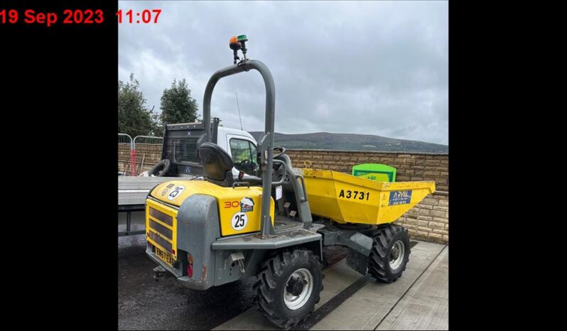 3T Dumper Wacker Neuson 3001 2018 (Swivel Tip)