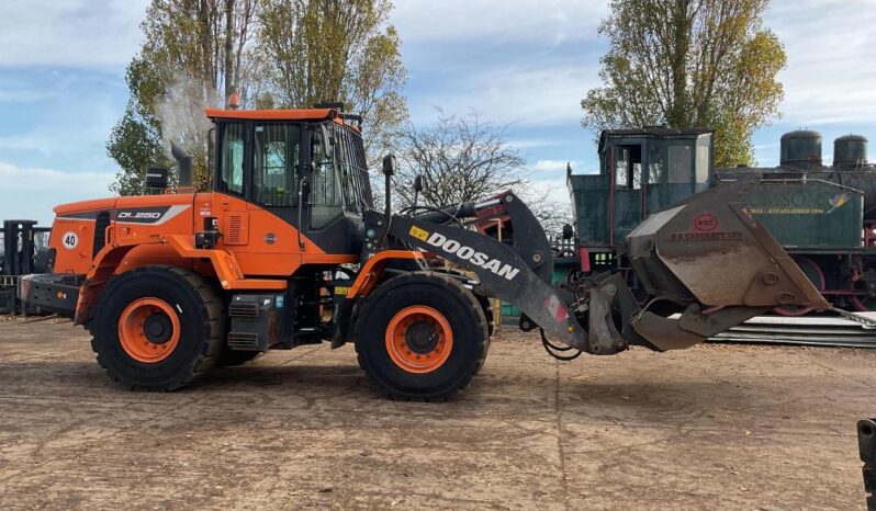 2019 Doosan DL250 Wheeled Loaders for Sale full