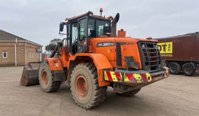 2013 DOOSAN DL250TC-3 LOADING SHOVEL For Auction on 2024-12-29 For Auction on 2024-12-29 full