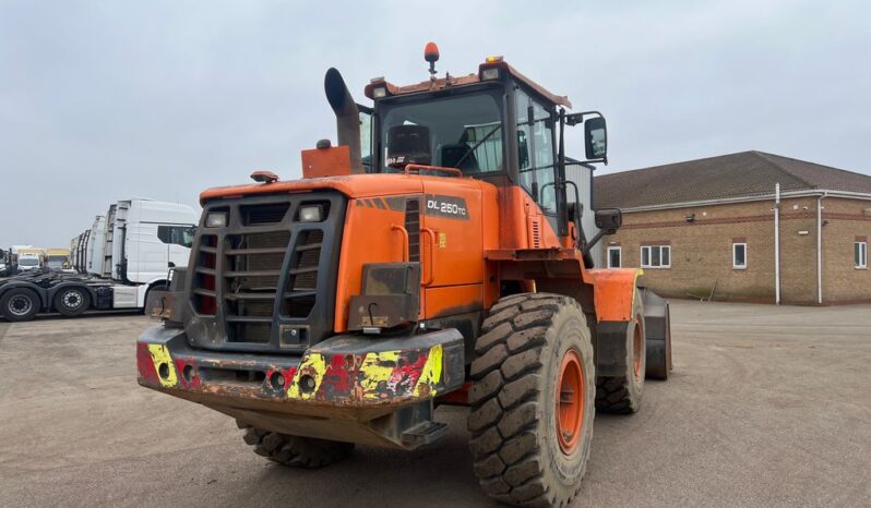 2013 DOOSAN DL250TC-3 LOADING SHOVEL For Auction on 2024-12-29 For Auction on 2024-12-29 full