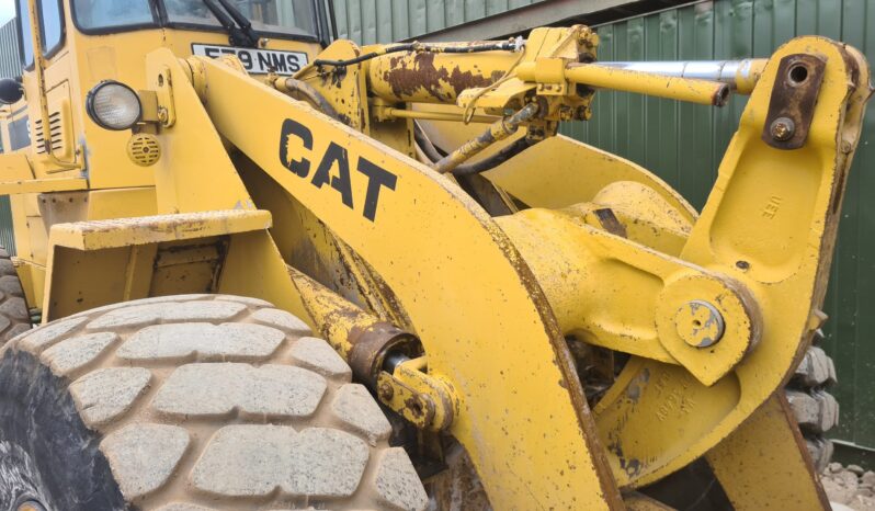 1988 CATERPILLAR 936 LOADING SHOVEL full