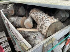 Pallet of Air Dried Logs. No VAT On Hammer For Auction on 2025-02-20 For Auction on 2025-02-20 full