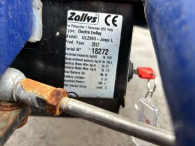 1 ZALLYS ULZ003 CAGE TROLLEY For Auction on 2025-03-18 For Auction on 2025-03-18 full